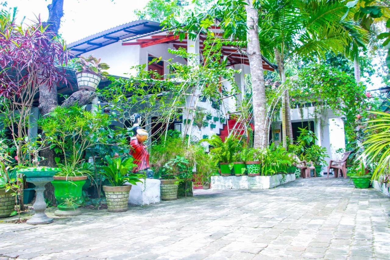 Sigiri Tarushan Home Stay Σιγκιρίγια Εξωτερικό φωτογραφία