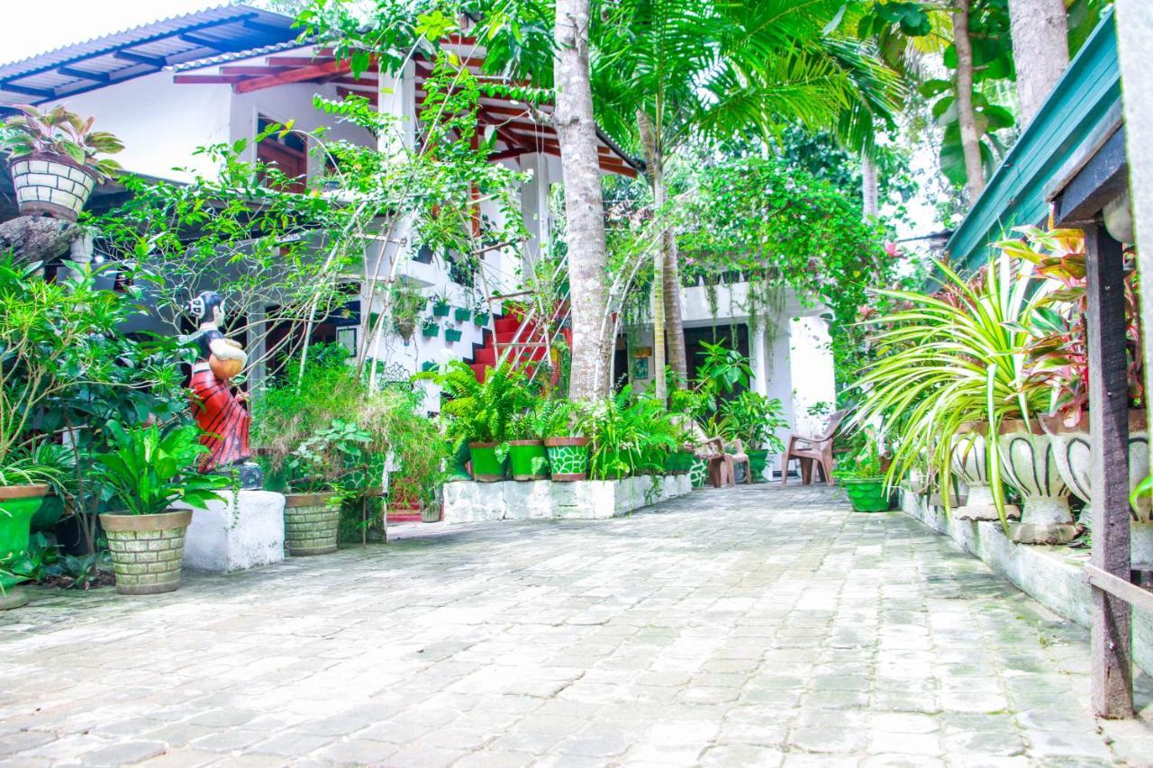 Sigiri Tarushan Home Stay Σιγκιρίγια Εξωτερικό φωτογραφία